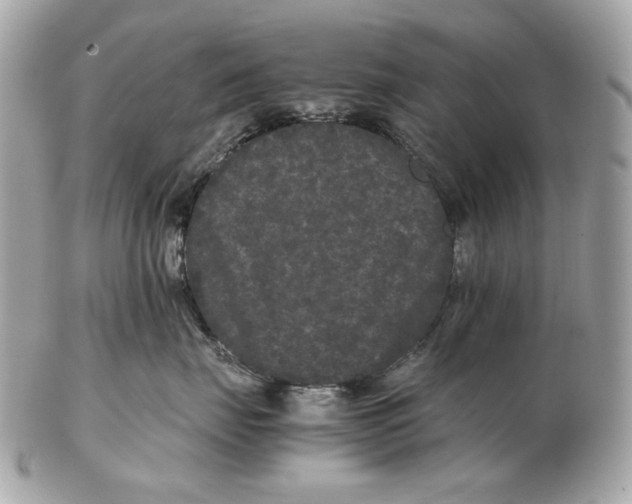 X0000102480671200808291628