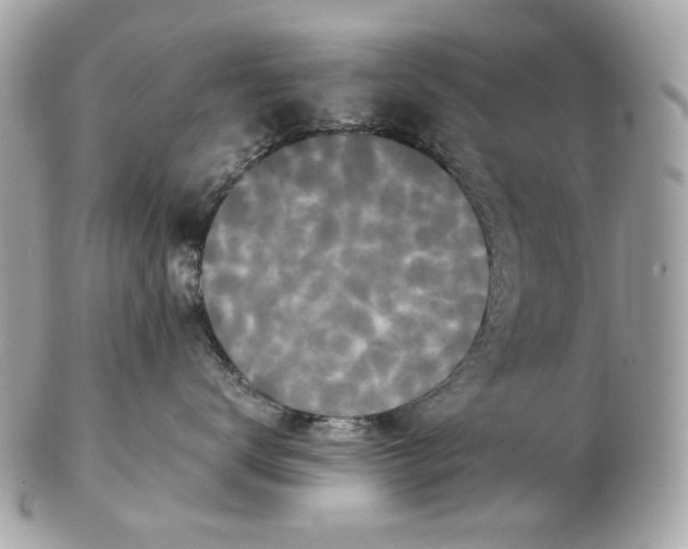 X0000102480672200808291628