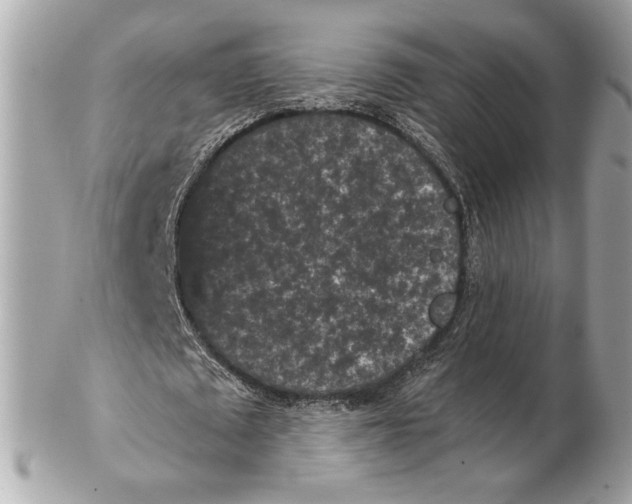 X0000102480673200808291628