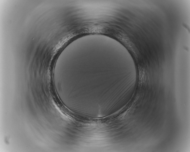 X0000102480674200808291628