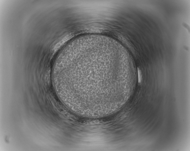 X0000102480675200808291628