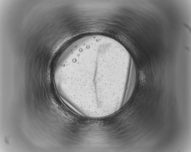 X0000102480676200808291628