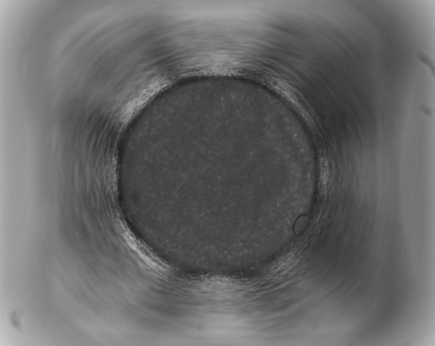 X0000102480677200808291628