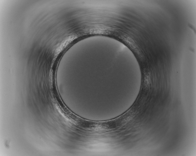 X0000102480678200808291628