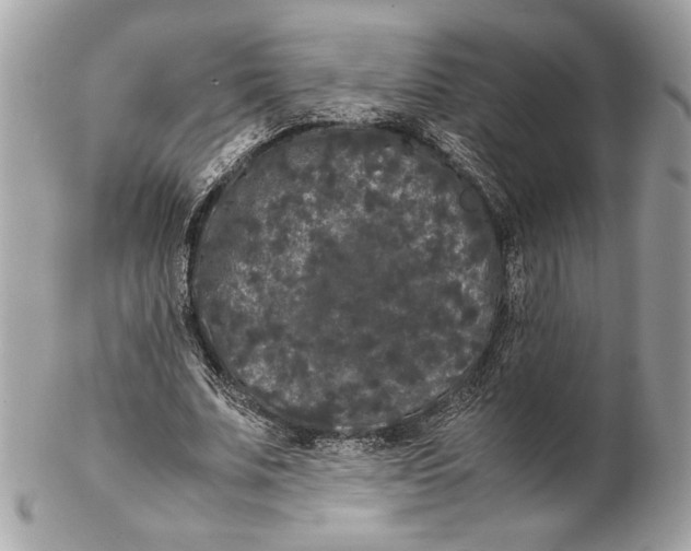 X0000102480679200808291628