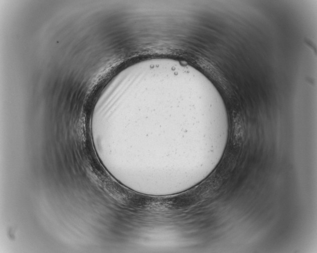 X0000102480680200808291628