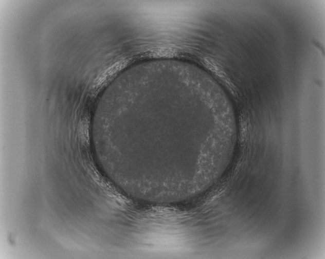 X0000102480681200808291627