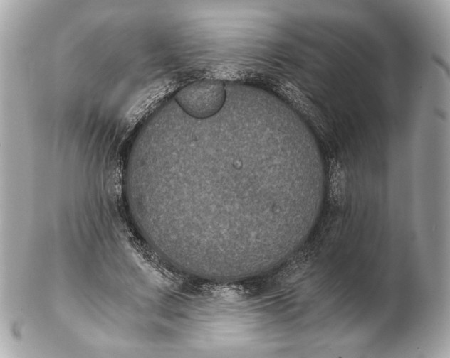 X0000102480683200808291627