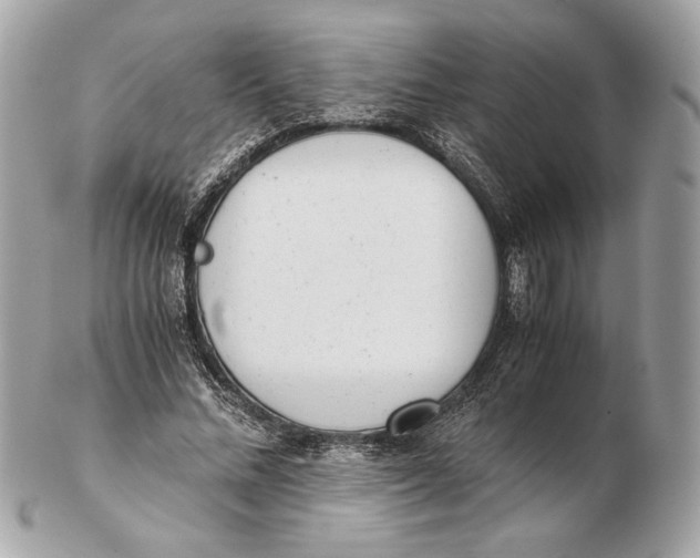 X0000102480684200808291627