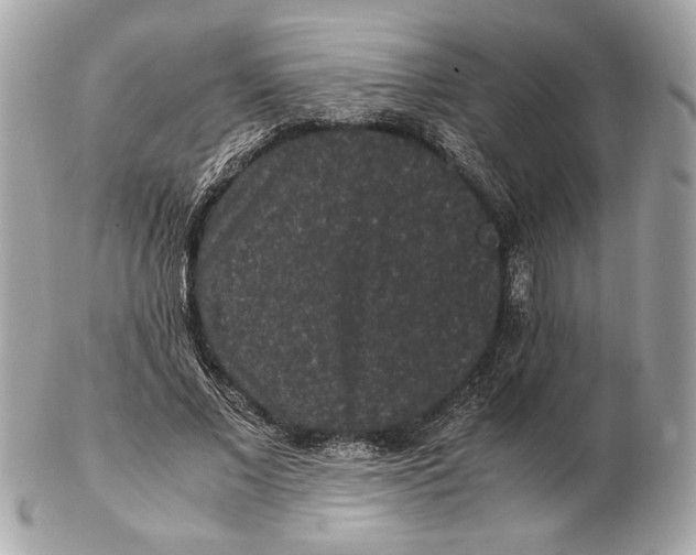 X0000102480685200808291627