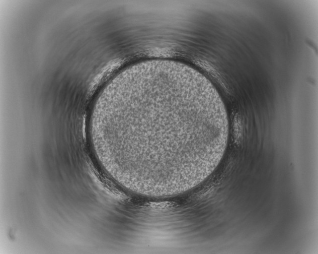 X0000102480686200808291627