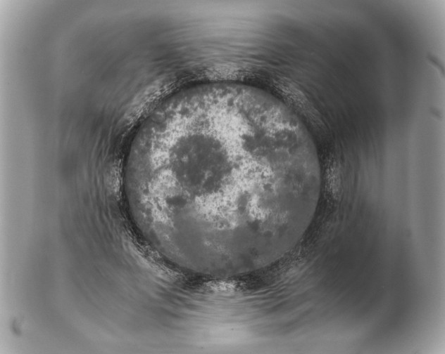 X0000102480687200808291627