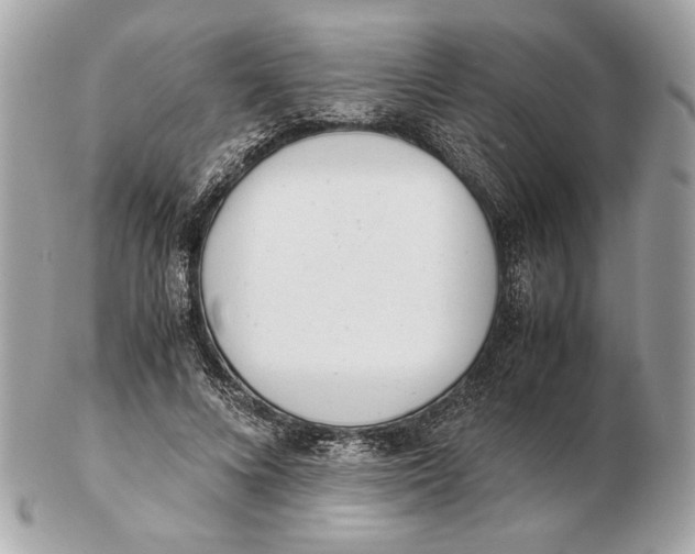 X0000102480688200808291627