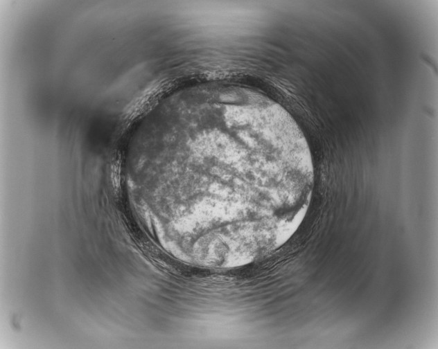 X0000102480691200808291627