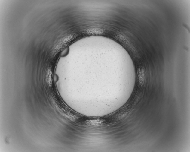 X0000102480692200808291627