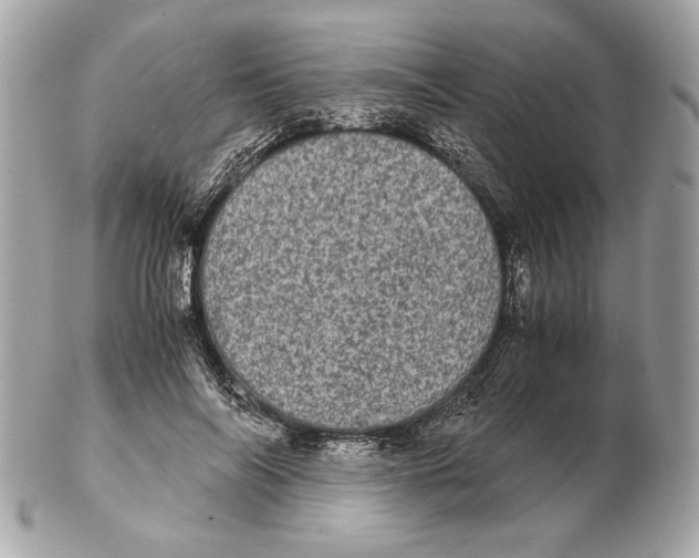 X0000102480694200808291627