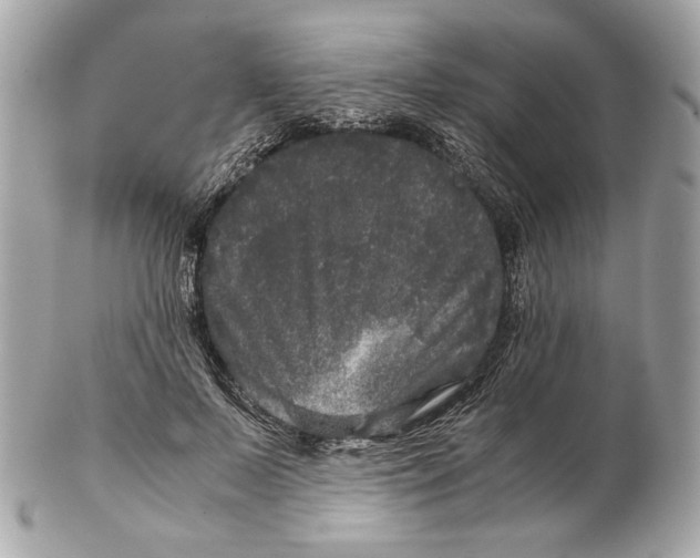 X0000102480695200808291627