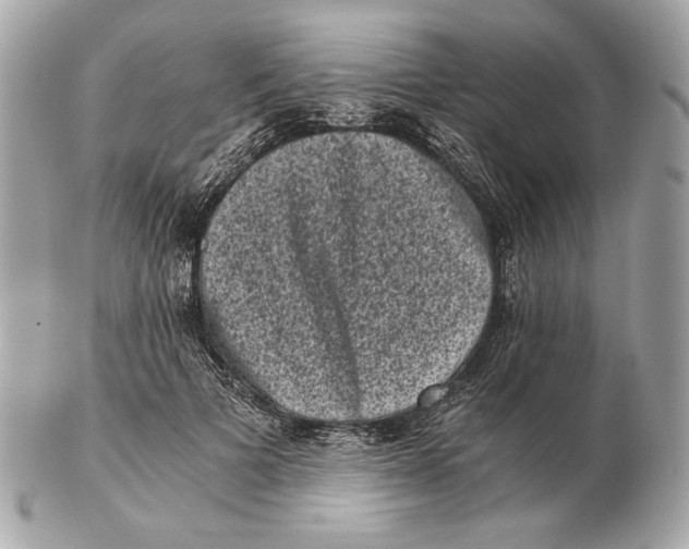 X0000102480697200808291627