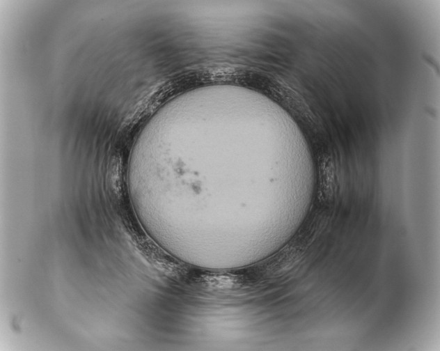 X0000102480698200808291627