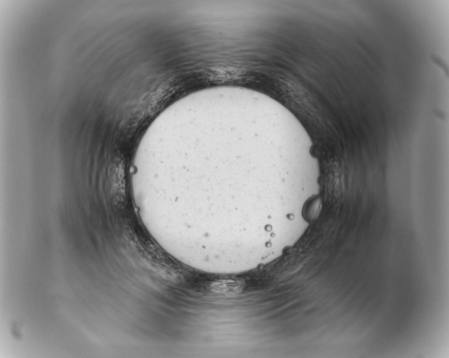 X0000102480700200808291627