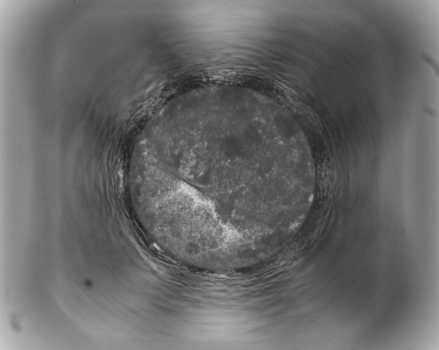 X0000102480703200808291627