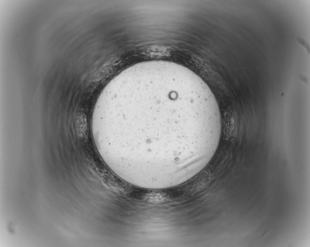 X0000102480704200808291627