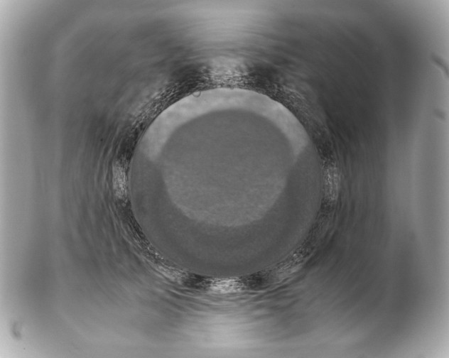 X0000102480705200808291627