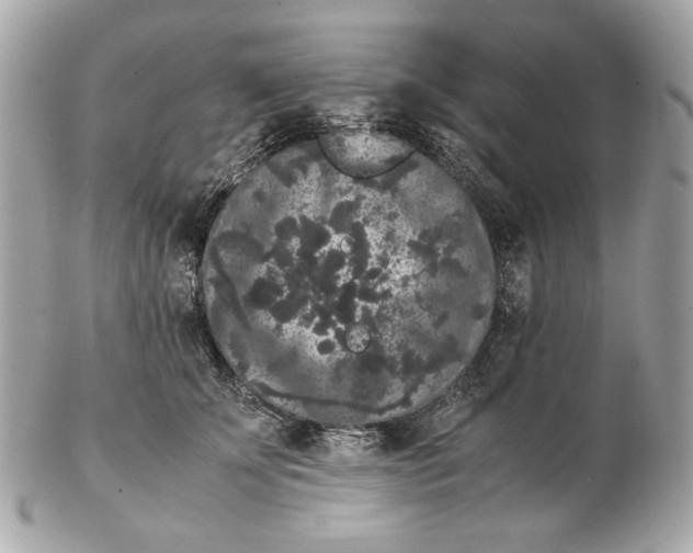 X0000102480707200808291627