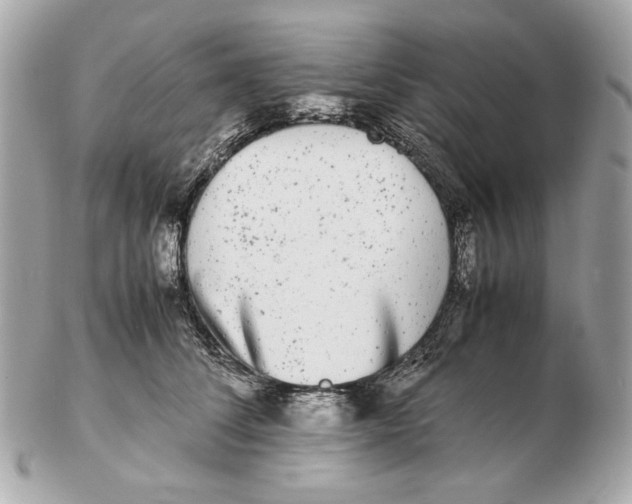 X0000102480708200808291627