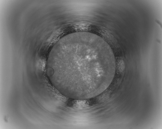 X0000102480709200808291627