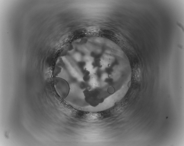 X0000102480711200808291627