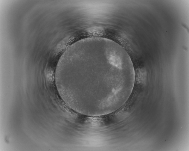 X0000102480713200808291627