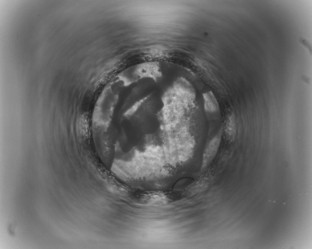 X0000102480715200808291627