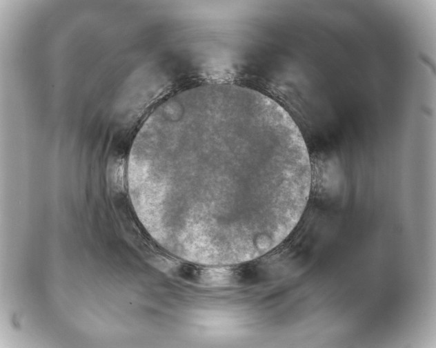 X0000102480717200808291627