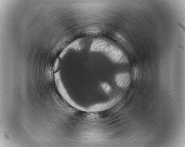 X0000102480718200808291627