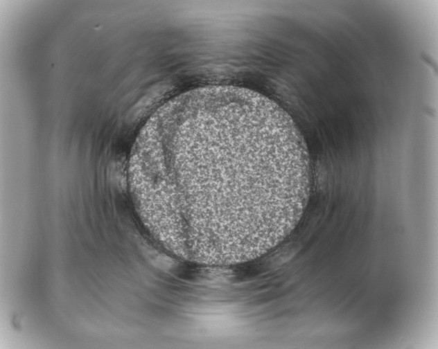 X0000102480719200808291627