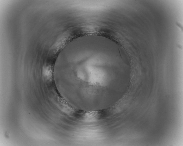 X0000102480720200808291627