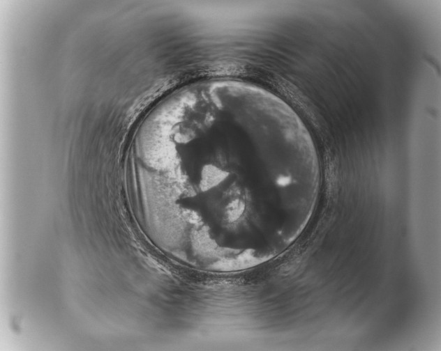 X0000102480721200808291626