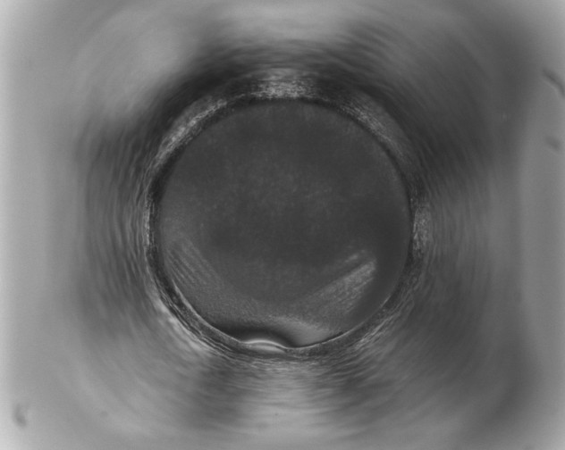 X0000102480722200808291626