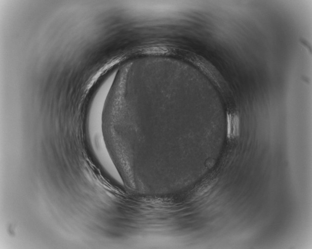 X0000102480723200808291626