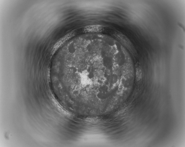 X0000102480725200808291626