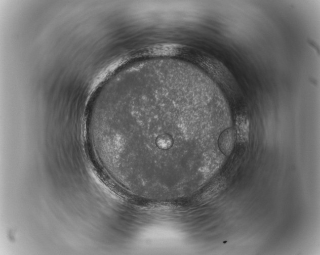 X0000102480726200808291626