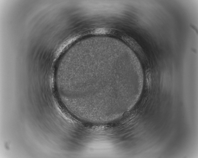 X0000102480728200808291626