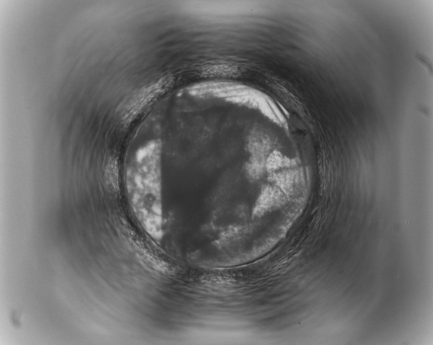 X0000102480729200808291626