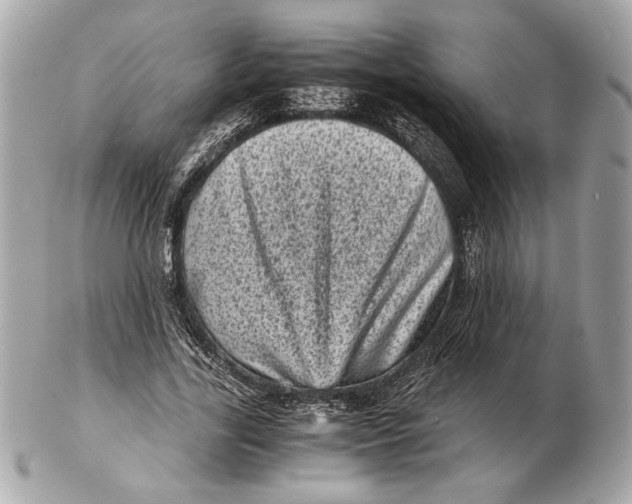 X0000102480731200808291626