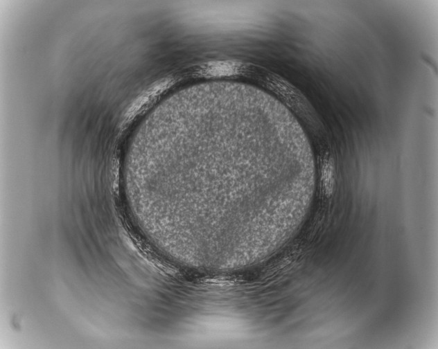 X0000102480732200808291626