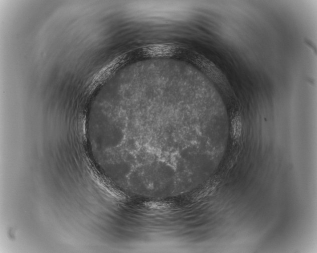 X0000102480733200808291626