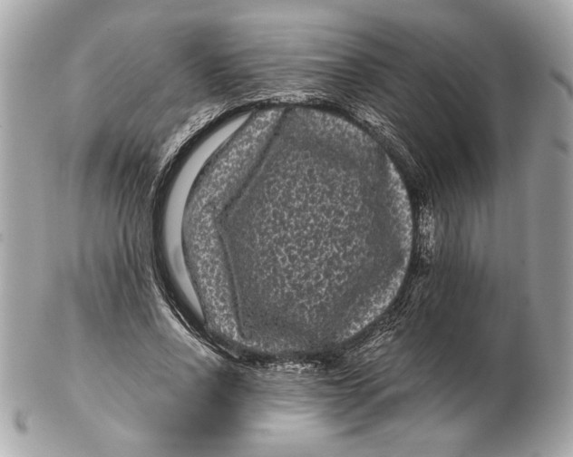 X0000102480734200808291626