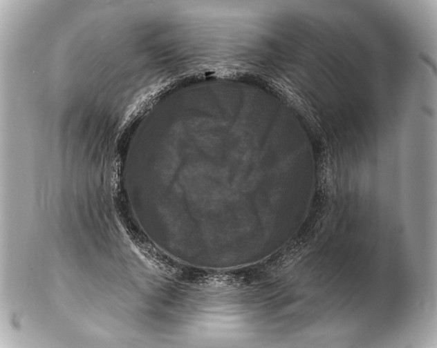 X0000102480736200808291627