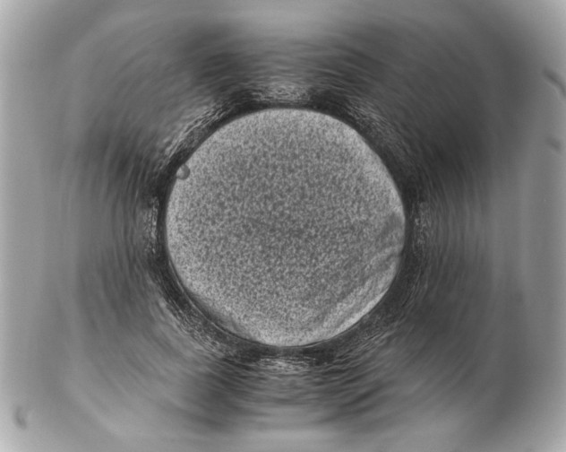 X0000102480739200808291627